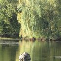 Rochefort sur loire (100).JPG